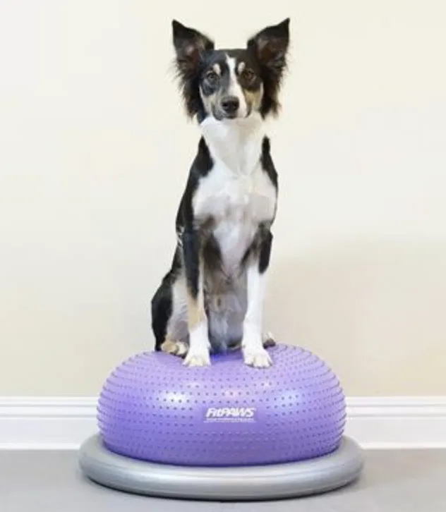 FitPAWS Trax Donut Canine Muscle Trainer