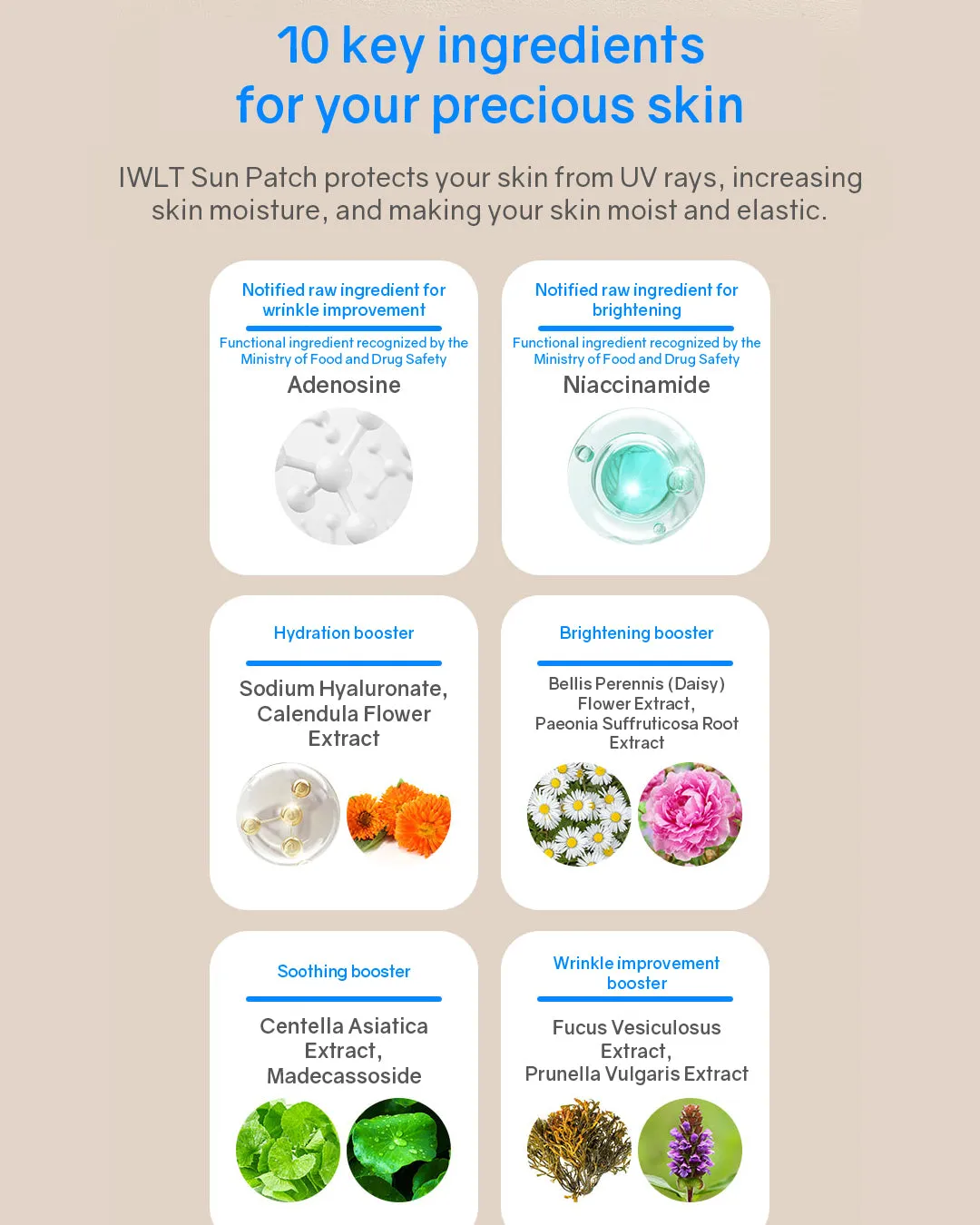 IWLT Protecting Sunny Day Sun Patch